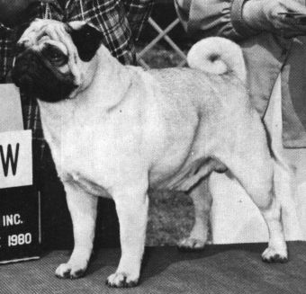 Woochuck winning BIS