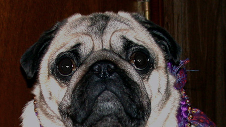 sweet George
